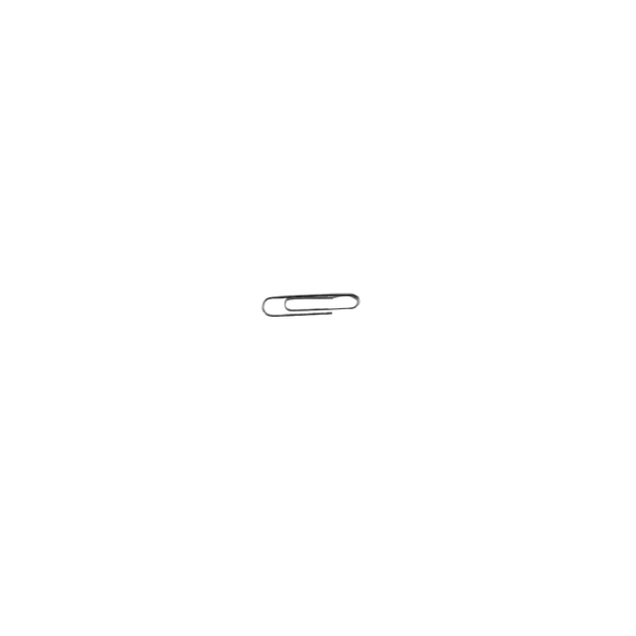Silver paper clip on a white background