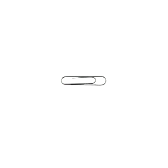 Silver paper clip on a white background